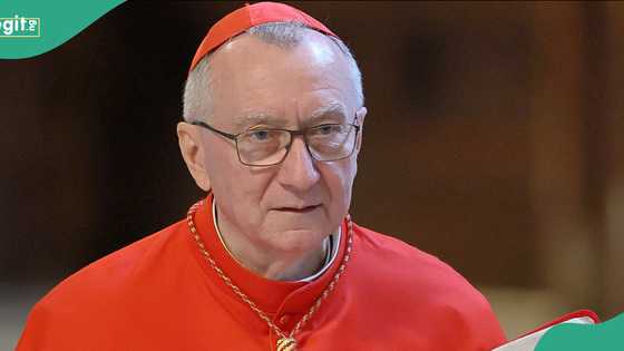 Genocide: Senior Vatican cardinal gives official stand on alleged targeted Christian killings