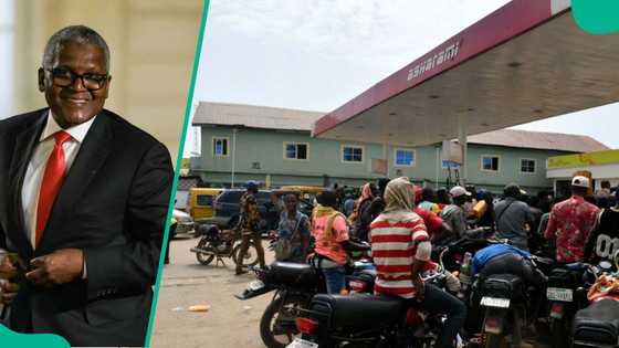 Dangote to build CNG stations to power 4,000 trucks for nationwide fuel distribution plans