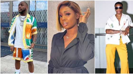 "Riff Raff FC": Tolani Baj and Wizkid's fans fight dirty as she questions why anyone wouldn't like Davido