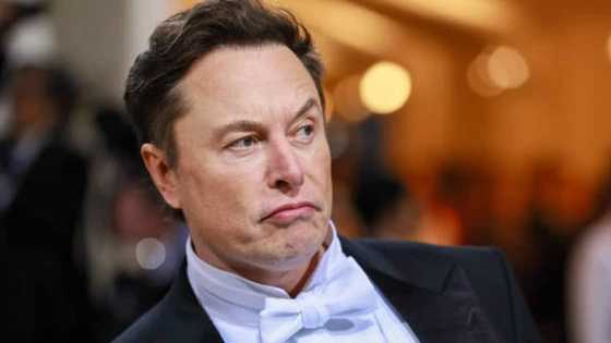 Elon Musk to Tesla employees: Return to office or leave the company