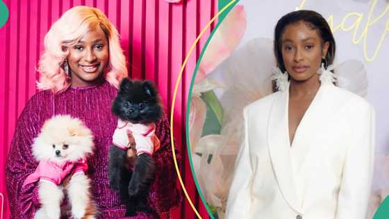 DJ Cuppy shows off the accessories she bought for her dogs: “Every mallam with hin own kettle”