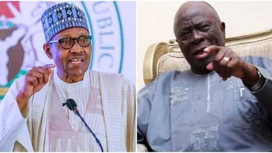 Adebanjo tells Buhari how to engage Igboho, Kanu, other secessionists in Nigeria