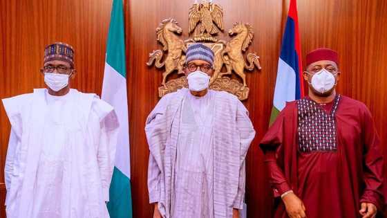 Yanzu-Yanzu: Tsohon Minista Mai Sukar Gwamnatin Buhari, Fani-Kayode ya koma Jam'iyyar APC