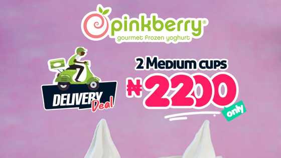 Take a ride on the Froyo Train to Amazing Guilt-Free Adventures with Pinkberry
