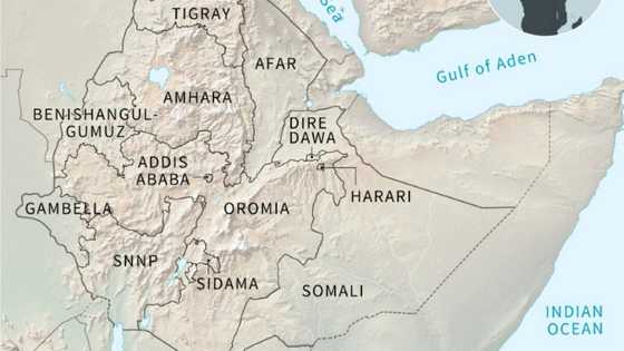 Ethiopia's other war: The shadowy Oromia conflict