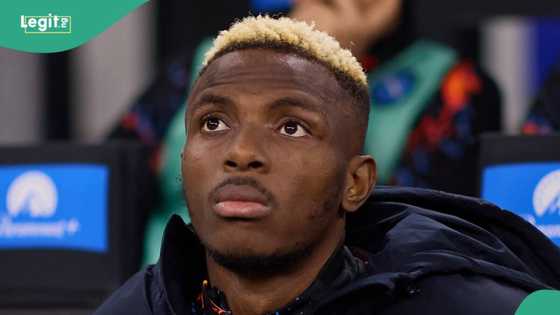 Osimhen transfer update latest: Expert discloses Super Eagles star's next destination