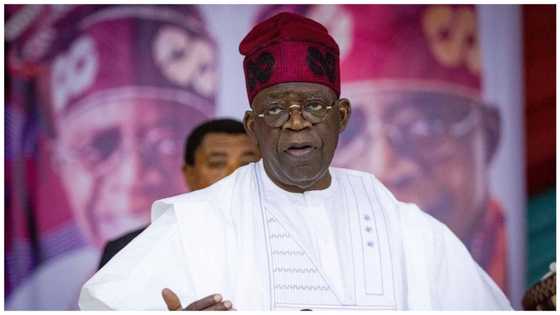 2023: Fresh crisis looms in APC as 2 northern geopolitical zones tackle each other over Tinubu’s running mate