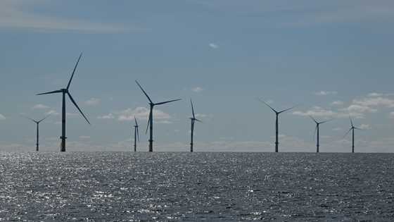 French-German duo wins mega offshore wind energy project