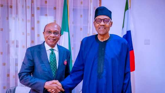 Intrigues as Emefiele meets Buhari in Daura, fresh details emerge