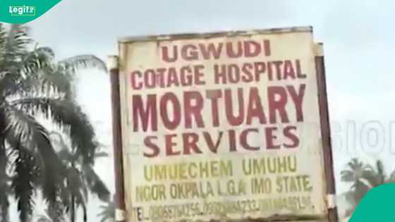 Imo state demolishes hotel and mortuary over organ harvesting allegations