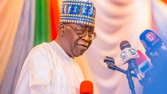 2023: Bola Tinubu Ya Magantu Kan Rikicin Atiku da Wike, Ya Raɗa Wa PDP Sabon Suna