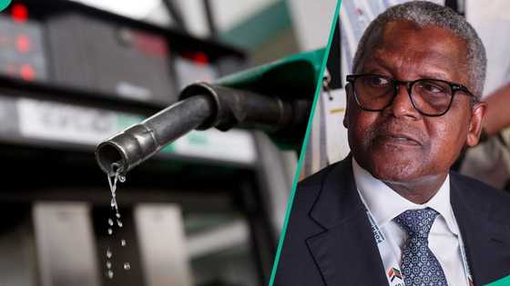 Petrol marketers vow to fight Dangote Refinery lawsuit on new import license
