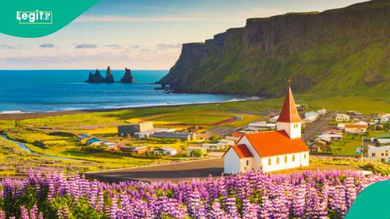 World’s most peaceful country for 2025 announced, reason mentioned