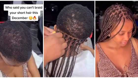 "Must be very painful": Mixed reactions as lady with very short hair gets braided hairstyle