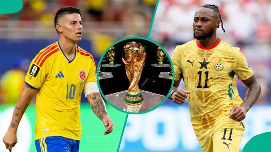 Colombia vs Ghana: Mysterious cat predicts 2026 FIFA World Cup Round of 32 match