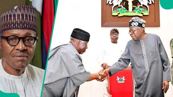 Masoyan Buhari sun dauki matsaya kan wanda za su marawa baya a zaben 2027