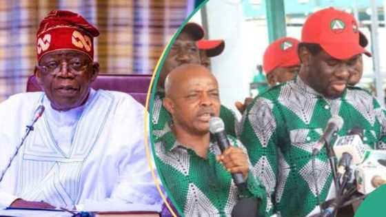 Minimum wage strike: Full list of agreements Tinubu's govt reached with labour leaders