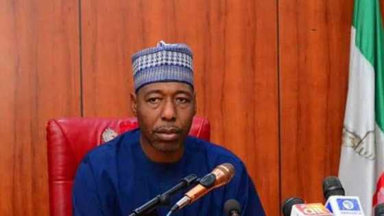 Gallant Nigerian troops Repel Attack on Borno State Government's Convoy, Kill 7 Terrorists