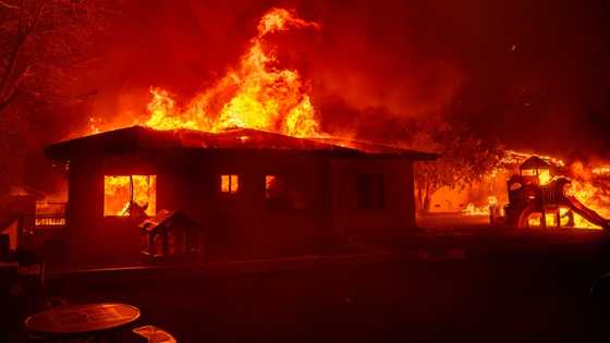 Natural disasters caused $135 bn in economic losses in first half of 2025: Swiss Re
