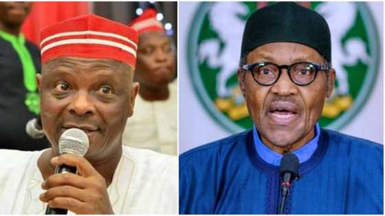 Zaben 2023: Kwankwaso na shirin bayyana aniyarsa ta danewa kujerar Buhari