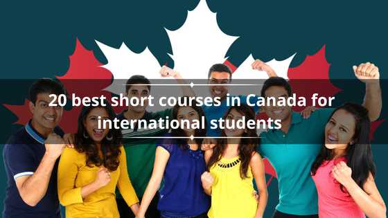 Top 20 best short courses in Canada for international students