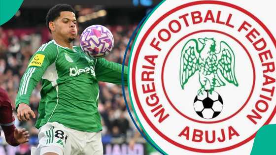 William Osula transfer: Super Eagles target makes Newcastle decision amid interest