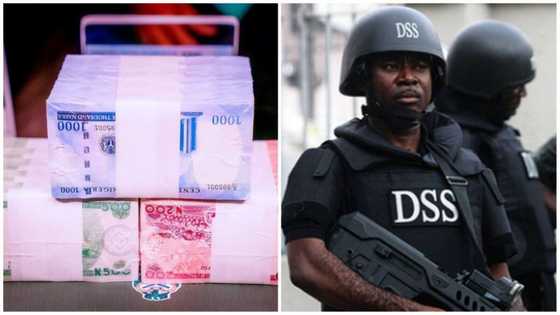 Naira redesign: Trouble for bankers as SSS swings into action, arrest those selling new notes
