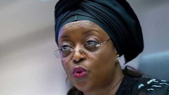 FG ta fara gwanjon kadarorin Diezani, Badeh da wasu da ta kwace
