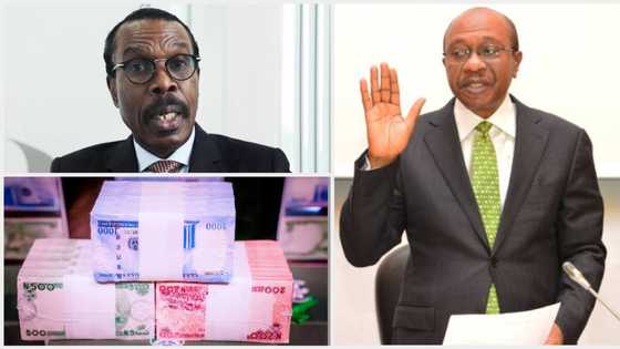 World Bank, Rewane disagree with CBN on Cash Withdrawal, naira redesign policies