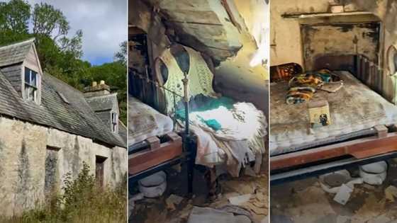 "We found something inside": Bold man enters house abandoned 55 years ago, shares video on TikTok