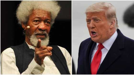 Farfesa Soyinka: Na yafewa Amurkawan da suka zabi Trump, yanzu zan iya komawa kasar