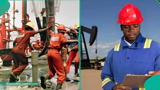 FG invites Nigerian youths to apply for high-paying oil and gas jobs training, OND accepted
