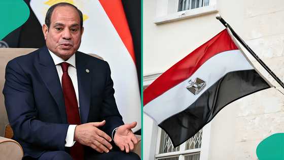 Egypt imposes cash limit for foreigners, announces maximum amount travellers must carry