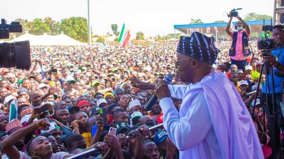 2023 elections: PDP finally appoints acting chairman in northern state