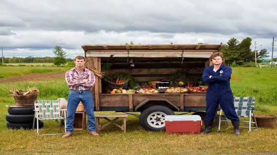 35 Letterkenny quotes, sayings and insults applicable to our lives