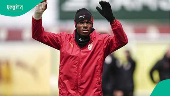 Victor Osimhen monitored by Real Madrid, 4 other top clubs ahead of Fenerbahce game