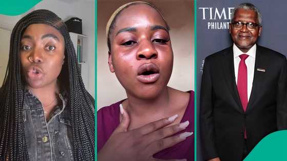 Izzy Ogbeide weighs in on Phyna and Dangote's saga, reveals what Nigerians should do, netizens react