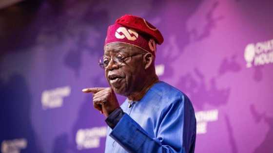 Masu Adaidaita Sahu Sun Yi Tafiyar Kilomita 757 Daga Wata Jiha Zuwa Abuja Don Karrama Tinubu
