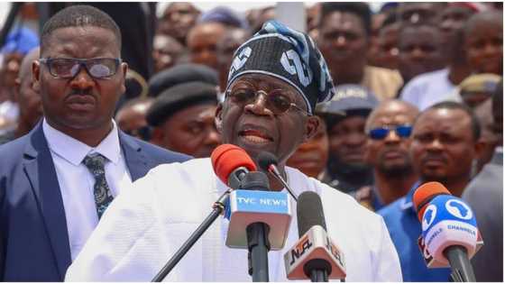 ‘No excuses, I will deliver,’ Tinubu makes strong vow ahead of swearing-in