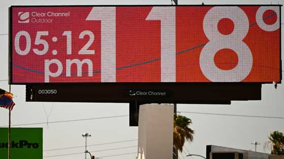 Major climate-GDP study under review after facing challenge