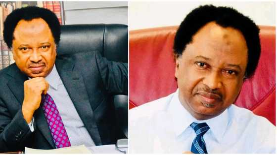 “Many MDAs are into that act”: Shehu Sani speaks on report of FCC selling employment letters