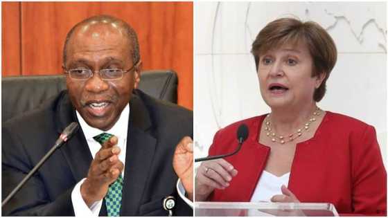 IMF tells CBN commercial banks is key to saving naira from further depreciation against us dollars