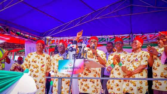Hasashen Yadda Zaben 2023 Zai Kasance Tsakanin APC, PDP, LP da NNPP a Jihohi 36