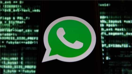 Take note: Full statement as Mark Zuckerberg announces major changes in WhatsApp