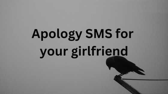 80+ apology SMS for your girlfriend: I'm sorry messages for girlfriend