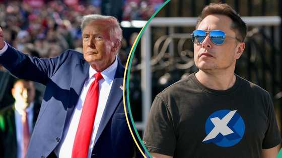 Elon Musk blasts US President Trump, “Time to drop really big bomb”