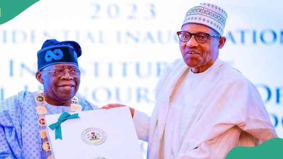 Fetur daga N200 zuwa N800 da yadda abubuwa suka canza daga Buhari zuwa Tinubu