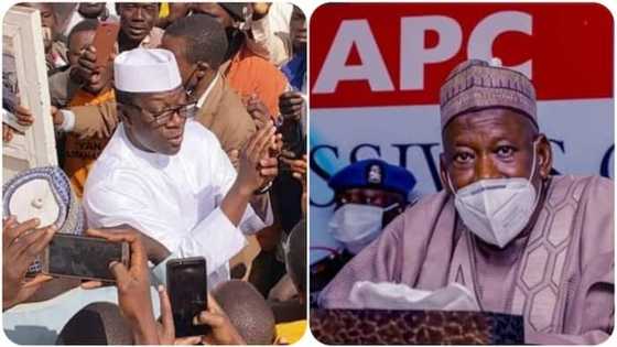 Bayan ficewar daraktan kamfen din Tinubu daga APC, Ganduje ya shawo kansa a yi sulhu