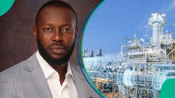 Expert shares 7 non-negotiable steps for Nigeria to become Africa’s energy leader