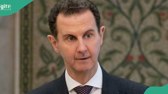 Bashar al-Assad: Syrian president reportedly flees as rebels announce entry into Damascus